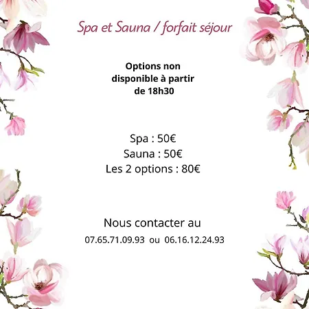 Only You Spa Et Sauna Privatif *